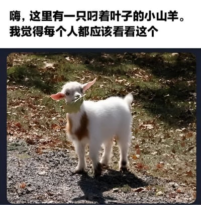 图片上方有一段文字：'嗨，这里有一只叼着叶子的小山羊。我觉得每个人都应该看看这个'。下方是一张小山羊的照片，小山羊通体白色，背部有棕色斑块，耳朵是粉红色的，正站在铺满落叶和碎石的地面上，嘴里叼着一片绿色的叶子，背景是有光影斑驳的草地和树木。