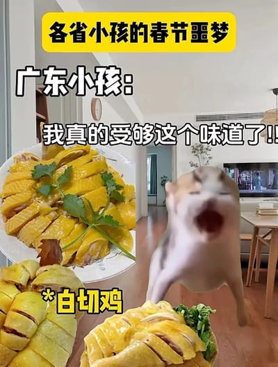 这张图片以幽默方式展现广东小孩在春节期间频繁吃到白切鸡的无奈心情。左侧是几盘色泽诱人的白切鸡，右侧有经典网络狗表情（doge）高声喊叫、崩溃反应。画面文字“各省小孩的春节噩梦”、“广东小孩：我真的受够这个味道了！！”配合画面内容，生动描绘地方特色饮食与过年氛围。图片带有夸张情绪和美食梗，适合新年吐槽氛围。