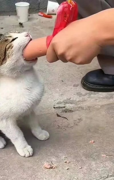 暂无描述