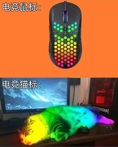 这是一张上下分栏的趣味对比图，上半部分展示了一款带有彩虹RGB渐变灯光的镂空电竞鼠标，配有文字标注“电竞鼠标”；下半部分则是一只趴在电脑桌前的猫咪，被网友通过P图添加了和电竞鼠标同款的彩虹渐变灯光效果，标注为“电竞猫标”，利用“鼠标”和“猫标”的谐音梗，将猫咪调侃成电竞外设，结合猫咪慵懒趴在电脑前的姿态，制造出搞笑的反差感，背景中还能看到显示游戏画面的电脑，进一步呼应电竞主题。