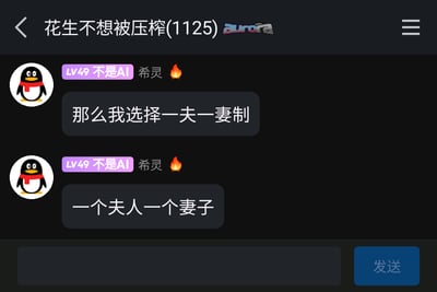 这是一张腾讯QQ群聊的静态截图，群名称为“花生不想被压榨(1125)”，顶部右侧带有“aurora”水印。群成员“希灵”（等级为LV49，昵称旁带有“不是AI”的标识和火焰表情）连续发送两条消息，先是表示“那么我选择一夫一妻制”，紧接着补充“一个夫人一个妻子”，通过偷换概念的方式曲解“一夫一妻制”的原本含义，制造出荒诞搞笑的玩梗效果，属于群聊闲聊时的趣味互动内容。
