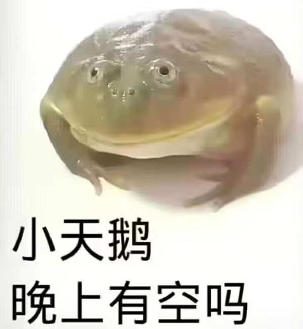 青蛙