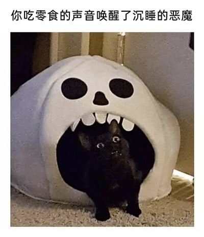 这是一张趣味宠物摄影图，画面中心是一只黑猫待在造型为卡通骷髅头的猫窝中，黑猫瞪圆双眼、嘴巴微张，露出惊讶又带着急切的神情，仿佛被吃零食的声音突然吸引。图片上方配有文字“你吃零食的声音唤醒了沉睡的恶魔”，将想吃零食的黑猫调侃成被唤醒的恶魔，利用猫窝的暗黑造型和黑猫的生动表情制造出搞笑的反差感，生动展现了宠物对零食的渴望，充满生活趣味。