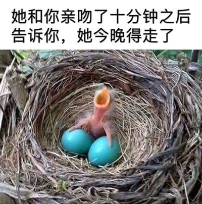 这张梗图上方配有文字“她和你亲吻了十分钟之后告诉你，她今晚得走了”，下方是一张鸟巢的照片。鸟巢中有两只蓝色的鸟蛋和一只刚孵化出来的幼鸟，幼鸟张着嘴巴，似乎在等待喂食。图片通过将亲密关系中的失望场景与鸟巢中幼鸟的期待状态进行类比，形成一种幽默的反差效果，表达了在亲密接触后希望落空的无奈情绪。