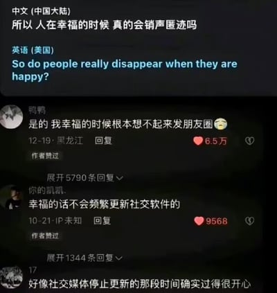 社交媒体评论截图，上方以中英文双语提问“人在幸福的时候真的会销声匿迹吗”，下方展示三条高赞用户评论。用户“鸭鸭”称幸福时想不起发朋友圈，“你的凯凯”认为幸福不会频繁更新社交软件，“17”则表示停更社交媒体期间确实开心，共同探讨幸福与社交分享的关系，引发共鸣。