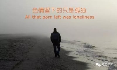 一张在雾蒙蒙的海滩上的图片，画面中一个人背对着镜头，独自沿着海岸线走向远方的大海。图片上方有橙色文字‘色情留下的只是孤独’及其英文翻译‘All that porn left was loneliness’，整体氛围萧瑟，旨在传达色情内容最终带来的孤独感。
