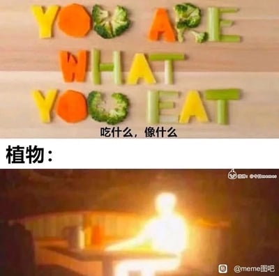 这是一张上下拼接的创意搞笑梗图，上半部分利用胡萝卜切片、西兰花、芹菜段、黄色蔬菜片等食材，拼出英文句子“YOU ARE WHAT YOU EAT”，下方配有对应的中文翻译“吃什么，像什么”，传递出饮食会影响自身状态的常规认知；下半部分则展示了一个坐在桌前的明亮发光人形剪影，上方标注文字“植物：”，结合植物通过光合作用吸收光能的生理特性，对“吃什么像什么”这句俗语进行了反向创意演绎，暗示植物“吃”光，所以变成了发光的形态，用荒诞的拟人化表达制造出冷幽默的搞笑效果。