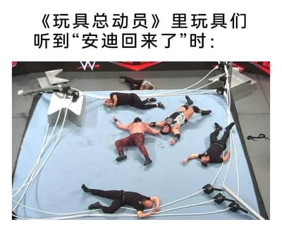 这是一张二次创作的搞笑梗图，画面上方配有文字“《玩具总动员》里玩具们听到‘安迪回来了’时：”，下方是WWE摔跤擂台的现场截图，擂台上包括摔跤选手和工作人员在内的多名人员横七竖八地躺倒在地，所有人都呈现出筋疲力尽、一动不动的状态。这张图用夸张的方式，将擂台上躺倒的人们类比成《玩具总动员》里听到主人安迪回家、立刻恢复静止状态的玩具，利用现实摔跤场景和动画设定的反差感制造幽默效果，生动地表现出玩具们听到消息后迅速静止的状态。