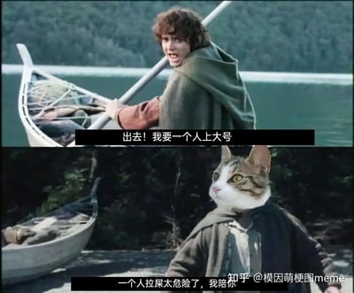 本梗图分为上下两格，取材自经典电影《指环王》的场景，恶搞成“一人上厕所太危险需要陪同”。上半部分角色划船准备上岸，中英文对白写着“出去！我要一个人上大号”；下半部分角色的头被替换成了一只猫，并回复“一个人拉屎太危险了，我陪你”，用幽默的方式表现了猫咪总喜欢跟主人进厕所的现象。

本图利用了原场景的剧情紧张感，结合宠物行为，形成了搞笑反差。猫咪‘陪上厕所’是网络常见吐槽话题。

夹带双关：‘拉屎太危险’暗示了主人被猫监视，无隐私可言。