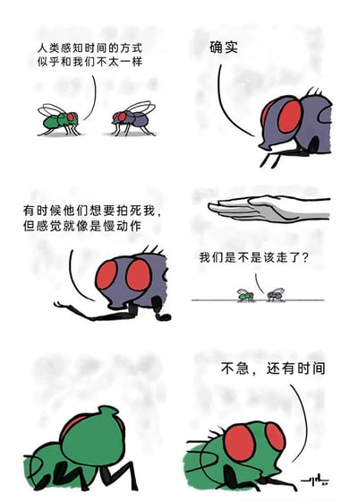 这是一幅六格连环卡通漫画，采用拟人化的手法创作，主角是两只苍蝇。第一格绿苍蝇提出人类和苍蝇的时间感知方式不同；第二格紫苍蝇表示认同；第三格紫苍蝇得意地说人类拍它的动作在它看来像慢动作；第四格画面出现一只准备拍打的人手；第五格绿苍蝇看到手后担忧地问紫苍蝇是不是该走了；第六格紫苍蝇满不在乎地说不急还有时间，结果它被拍扁在地上，绿苍蝇在一旁。漫画以幽默的方式科普了苍蝇的视觉时间感知速度远超人类，能将人类的快速动作视为慢动作，但也通过紫苍蝇的结局讽刺了过度自信、轻视危险的行为。