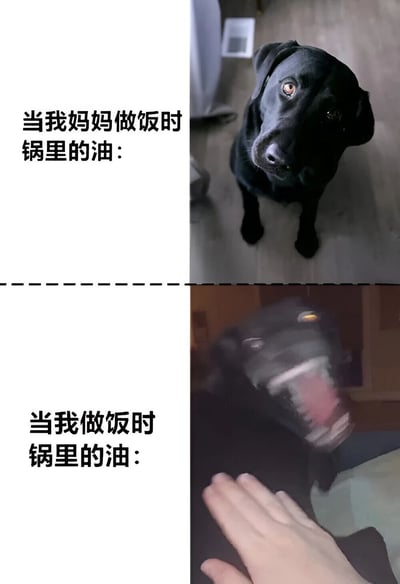 这是一张上下对比的搞笑梗图，通过黑色拉布拉多犬的两种不同状态来幽默对比妈妈做饭和自己做饭时锅里油的状态差异。上半部分狗狗平静专注地抬头注视，配文“当我妈妈做饭时 锅里的油：”；下半部分狗狗模糊动感地向前扑跃，配文“当我做饭时 锅里的油：”。用狗狗的反差萌形象生动展现了厨艺差异带来的不同烹饪场景，引发共鸣和笑点。