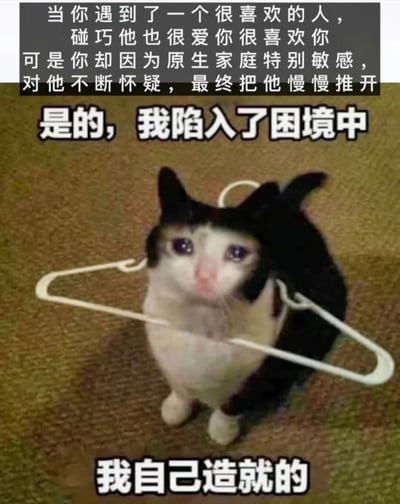 这张图片展示了一只黑白相间的猫，脖子上套着一个白色塑料衣架，坐在地毯上。图片上方有一段文字："当你遇到了一个很喜欢的人，碰巧他也很爱你很喜欢你可是你却因为原生家庭特别敏感，对他不断怀疑，最终把他慢慢推开"。中间有一行较大的文字："是的，我陷入了困境中"。底部文字是："我自己造就的"。

图片通过猫被衣架缠绕的形象，比喻人在感情中因原生家庭影响而陷入自我制造的困境，生动展现了因敏感和怀疑而破坏美好关系的心理状态。