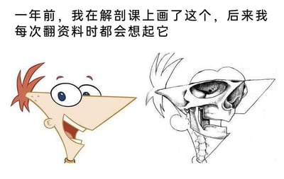 暂无描述