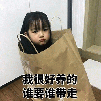 权律二躲进纸袋萌言萌语表情包