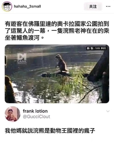 这是一张社交媒体截图，用户hahaha_3small发布内容称，在美国佛罗里达的奥卡拉国家公园，有游客捕捉到了令人惊讶的野生动物互动场景：一只浣熊神态放松、老神在在地坐在鳄鱼的背上，仿佛搭乘“专属渡轮”一般渡河，画面里的水面、岸边植被还原了自然湿地的环境。下方用户frank lotion看到后留下搞笑评论，调侃浣熊是“动物王国里的疯子”，整体内容充满趣味性，将野生动物间出人意料的互动转化为搞笑的网络梗图，引发网友对浣熊大胆行为的调侃。