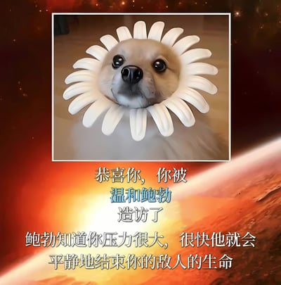图片中央是一只表情平静的海豹，其颈部被一圈白色花瓣状物体环绕，形成类似花朵的造型。背景为深色宇宙星空，底部有明亮的光芒效果。图片下方配有文字：'恭喜你，你被温和鲍勃造访了。鲍勃知道你压力很大，很快他就会平静地结束你的敌人的生命'。这张图片通过可爱的海豹形象与'结束敌人生命'的文字形成幽默反差。