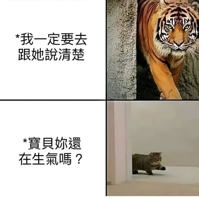 这是一张四格对比梗图，通过动物形象展现人们面对冲突时的内心想法与实际行动的反差。上半部分左侧文字写着“*我一定要去跟她說清楚”，右侧是一只气势汹汹从树后走出的老虎；下半部分左侧文字写着“*寶貝妳還在生氣嗎？”，右侧是一只小心翼翼从墙角探出头的猫咪。这种强烈对比形成了幽默效果，反映了人们常有的“内心很强大，实际很怂”的状态。