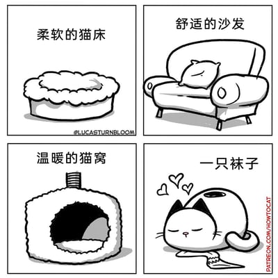 这是一幅四格黑白连环卡通漫画，前三格分别呈现了为猫咪准备的柔软猫床、带靠枕的舒适沙发、封闭式的温暖猫窝，这些都是设计来让猫咪舒适休息的场所；第四格则出现了一只黑白相间的猫咪，它闭着眼睛，表情十分惬意满足，周围飘着爱心图案，正趴在一只袜子里睡觉，生动地调侃了猫咪总是偏爱非专用物品的有趣习性，充满了生活化的幽默。