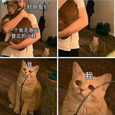 这是一张四格连环梗图，通过分镜递进的方式展现情绪：第一格中人物抱着狗，配文“好朋友们”和“一个我无意间瞥见的小群”，暗示好友们在专属小群里互动，自己是被排除在外的局外人；第二格镜头转移到画面角落的橘猫；第三格橘猫配文“我”，表情平静却带着疏离感；第四格放大橘猫的脸部，它眼眶含泪、眼神委屈巴巴，配文“我”，精准刻画出当事人发现自己被好友排除在小群之外时，那种失落、委屈又尴尬的复杂心情，用动物的神态生动共情了社交关系中的被忽视感。