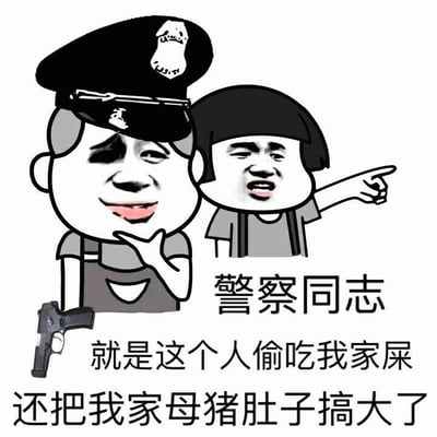 这是一张搞笑风格的网络 meme 图片，画面中有两个卡通人物。左侧是一位戴着警察帽、手持手枪、面带微笑的警察形象，右侧是一个短发人物，表情愤怒地用手指着警察。图片下方配有文字：'警察同志 就是这个人偷吃我家屎 还把我家母猪肚子搞大了'，通过荒谬的指控制造喜剧效果。
