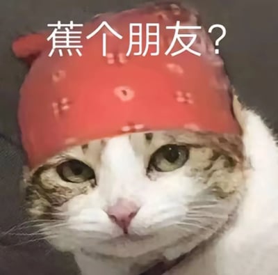 一只戴着红色带爪印图案帽子的猫咪，眼神无辜地看着前方。图片上方有白色文字'蕉个朋友？'，利用谐音梗将'交个朋友'（交朋友）中的'交'替换为'蕉'（香蕉），形成幽默效果。