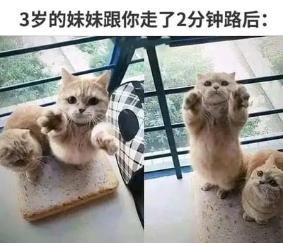 图片为上下结构的多图拼接梗图，上方文字为‘3岁的妹妹跟你走了2分钟路后：’，下方左侧图中一只橘猫坐在窗台的垫子上，前爪向前伸出，眼神期待地望着前方，旁边有一只更小的猫咪依偎着；右侧图中同一只橘猫站立起来，前爪高高举起，表情显得十分疲惫，小猫咪则抬头看着它。通过猫咪的动作和表情变化，幽默地还原了3岁小孩走路不久后就想让人抱、表现出疲惫的真实场景，充满生活气息和趣味性。