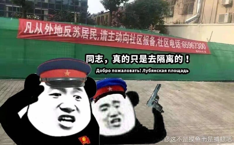 熊猫头表情包衍生
