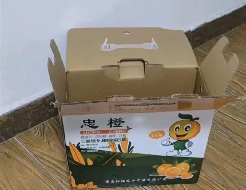 忠橙包装设计