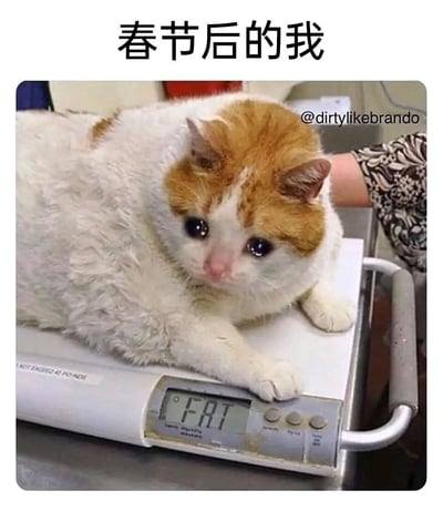 这是一张贴合春节后大众情绪的搞笑梗图，顶部配有文字“春节后的我”，图中一只白橘相间的胖猫趴在电子体重秤上，它双眼噙满泪水，神情委屈又沮丧，仿佛正为体重上涨而感到难过。体重秤的显示屏被修改为显示英文“FAT”（意为肥胖的），拟人化地表现出人们在春节期间因大量进食导致体重增加，称重时产生的焦虑与无奈，用可爱的猫咪形象引发网友的共鸣，十分生动有趣。