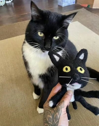 图片中一只黑白相间的猫咪（黑色身体、白色胸部和爪子，黄色眼睛）正坐在米色地毯上，表情平静地看向镜头。一只带有纹身的手握着一个与其外形高度相似的毛绒玩具猫，玩具猫同样为黑白色，有着夸张的黄色大眼睛和白色胡须。背景中可见模糊的纸箱等物品，整体场景温馨可爱，展现了宠物与主人手工制品的趣味互动。