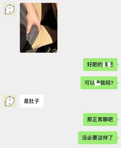 梗图上方是一张照片，显示一只手捏着布料形成类似肚子的形状。右侧有绿色对话气泡写着“好肥的鸡吧”“可以温我吗?”，左下角白色气泡纠正“是肚子”，随后绿色气泡回应“那正常聊吧”“没必要这样了”。图中还有两个小卡通熊头像。通过视觉错位制造误会笑点，对话充满尴尬又搞笑的转折。