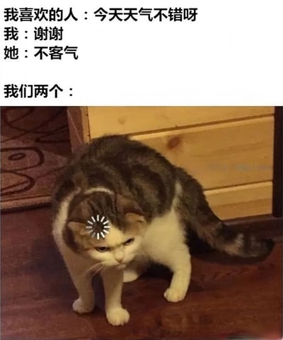 图片上半部分为对话文字：“我喜欢的人：今天天气不错呀 我：谢谢 她：不客气 我们两个：”，下半部分是一只头上顶着小型风扇的猫，猫咪表情略显尴尬，身体微微前倾站立在木地板上，背景有木质家具。整体通过对话与猫咪的尴尬形象，幽默展现了和喜欢的人聊天时因不当回应导致的尴尬场景。