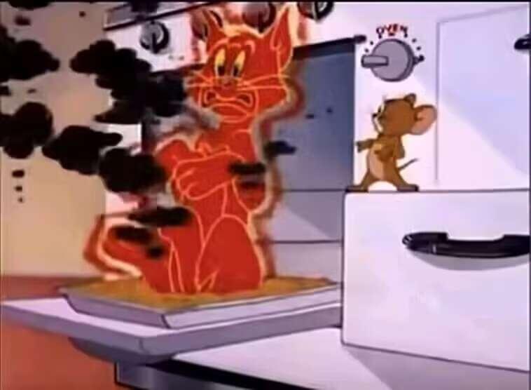 猫和老鼠