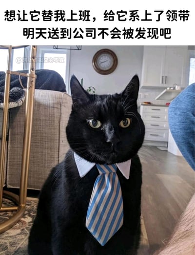 这是一张真实拍摄的静态单图，画面主体是一只黑色家猫，它的脖子被主人戴上了白色假衣领和蓝白相间的条纹领带，猫咪眼神无奈又茫然，看起来对这个装扮十分不情愿。图片上方配有中文吐槽文字：“想让它替我上班，给它系上了领带 明天送到公司不会被发现吧”，用诙谐的方式表达了上班族不想上班的心态。图片左上方带有水印“@网上虚拟交心不宜”，背景是典型的居家室内环境，能看到沙发、落地灯、挂钟以及厨房橱柜等家居设施，整体氛围轻松搞笑，结合萌宠和职场吐槽的元素，引发上班族的共鸣。