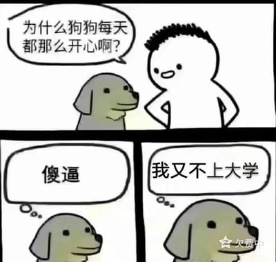 这是一幅由三格画面组成的连环卡通漫画，采用剧场式构图呈现完整的对话场景。第一格画面中，一个有着短黑头发的卡通人物双手叉腰，面带好奇地向身旁一只面带微笑的浅灰色狗狗提问：“为什么狗狗每天都那么开心啊？”；第二格画面聚焦在狗狗身上，出现了代表内心独白的气泡框，里面写着“傻逼”；第三格画面延续狗狗的视角，另一个内心独白气泡框写着“我又不上大学”。漫画以幽默的反差感，借狗狗的吐槽点出当代大学生因为学业、生活等多重压力，难以像不用上学的狗狗一样保持轻松开心的状态，精准戳中大学生群体的情绪痛点，引发共鸣。