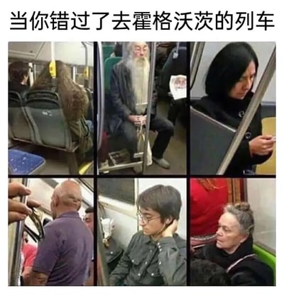 这是一张由六张地铁乘客照片拼接而成的搞笑梗图，顶部配文“当你错过了去霍格沃茨的列车”。图中的六名地铁乘客分别在外形上神似《哈利·波特》系列作品里的鲁伯·海格、阿不思·邓布利多、米勒娃·麦格、伏地魔、哈利·波特、多洛雷斯·乌姆里奇，通过这种现实与魔法IP的巧合撞脸，营造出魔法世界的角色错过专属的霍格沃茨列车，只能乘坐麻瓜地铁的搞笑反差感，充满趣味和脑洞，让哈利波特粉丝会心一笑。