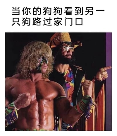 这是一张趣味梗图，上方配有文字“当你的狗狗看到另一只狗路过家门口”，下方选用了WWE传奇摔跤手的经典画面：左侧的摔跤手赤裸上身，肌肉线条明显，脸上画着标志性油彩，双手握拳，表情严肃，摆出充满斗志的战斗姿态；右侧的摔跤手戴着特色宽檐帽，脸上同样有油彩装饰，手指向画面外侧，握拳的姿态充满攻击性。这张梗图用两位摔跤手斗志昂扬、极具气势的状态，精准调侃了狗狗看到同类路过家门时，瞬间变得激动、充满领地意识，仿佛要“对峙”的搞笑日常反应，生动还原了宠物的有趣行为，让观者产生共鸣。