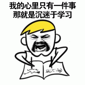 我的心里只有一件事：沉迷于学习