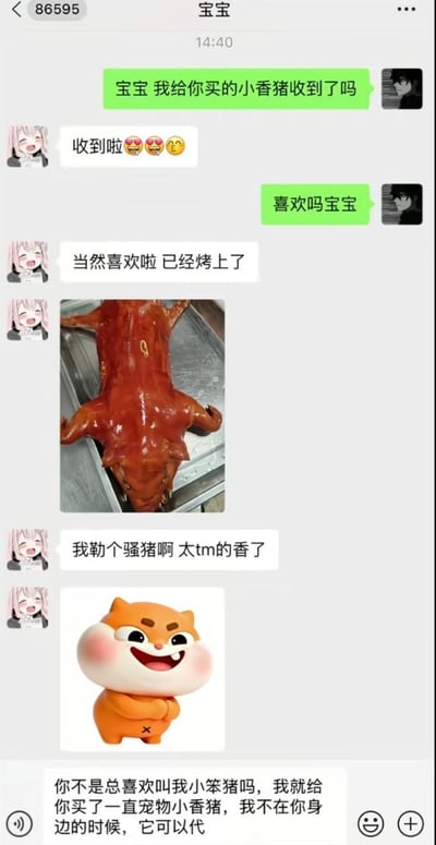 这是一张竖版的社交软件聊天记录截图，对话双方是互称“宝宝”的情侣，男方告知女方自己给她买了宠物小香猪作为礼物，本意是自己不在女方身边时小香猪可以陪伴她，没想到女方回复已经把收到的小香猪烤成了色泽红亮的烤乳猪，还开心夸赞味道很香，形成了强烈的预期反差笑点，截图底部还露出了男方还未发送完成的消息，停在“它可以代”的位置，进一步强化了喜剧效果。