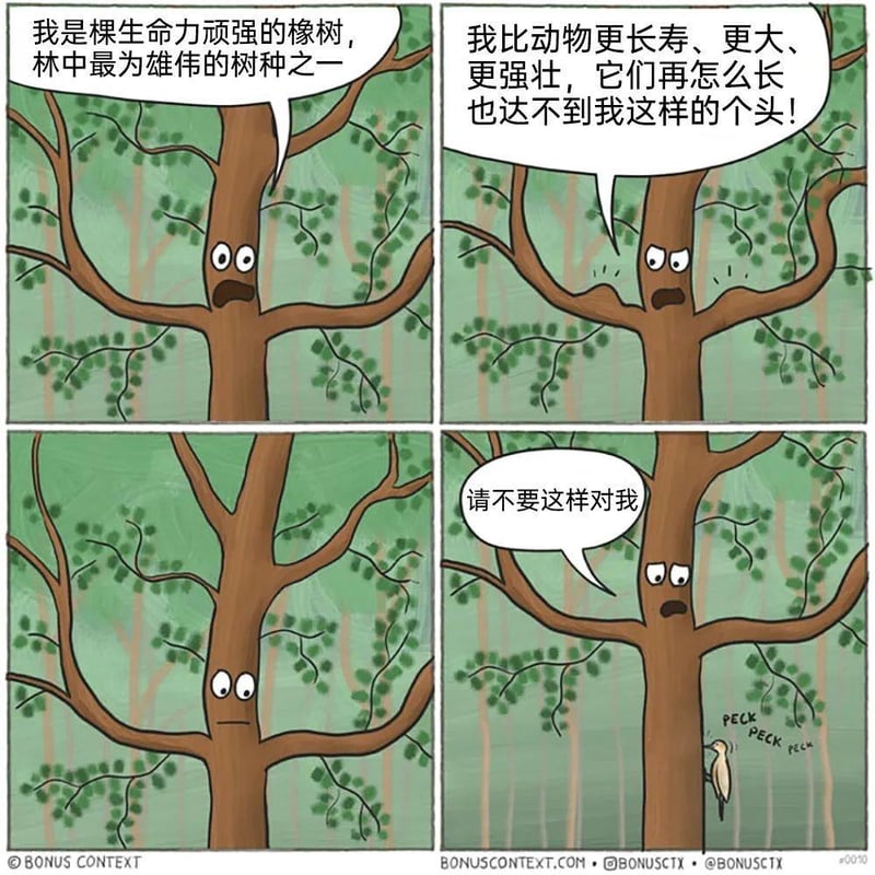 Bonus Context原创四格漫画