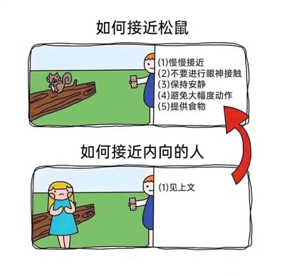 这是一张连环漫画，通过上下两格对比展示了“如何接近松鼠”和“如何接近内向的人”。上格中，一个穿蓝色衣服的人手持食物，正按照步骤（慢慢接近、不眼神接触、保持安静、避免大幅动作、提供食物）靠近站在木头上的松鼠；下格中，同一人用相同姿势接近一位双手抱胸、面露紧张的金发女孩，步骤仅标注“(1)见上文”，幽默地暗示接近内向者与接近松鼠需相似的耐心和技巧。