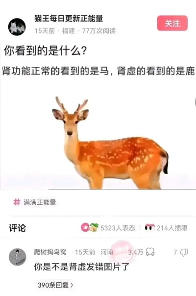 这是一条来自国内社交平台的用户动态，发布者“猫王每日更新正能量”发布了一则趣味测试内容，配文称“肾功能正常的看到的是马，肾虚的看到的是鹿”，但实际配图却是一只梅花鹿，形成了明显的失误。评论区中用户“爬树掏鸟窝”的评论“你是不是肾虚发错图片了”精准戳中这个漏洞，获得了3.4万点赞，成为热门评论，制造出搞笑的反差互动效果，帖子还带有“满满正能量”的话题标签，属于网络上常见的搞笑段子类内容。