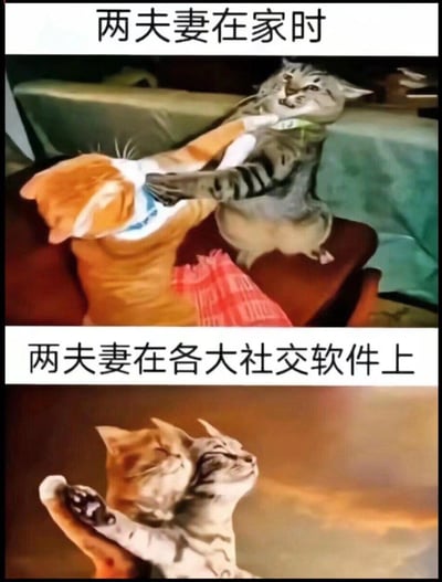这是一张上下对比的猫咪梗图，通过拟人化的猫咪形象幽默展现夫妻在不同场景下的行为反差。上半部分标题为'两夫妻在家时'，画面中一只灰猫正用爪子按住橘猫的脸，橘猫表情显得不耐烦，展现出夫妻在家中真实放松甚至有些'互怼'的状态；下半部分标题为'两夫妻在各大社交软件上'，两只猫咪则依偎在一起，闭着眼睛呈现出浪漫温馨的姿态，背景是暖色调的夕阳，讽刺了人们在社交媒体上塑造完美形象的现象。