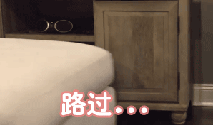 粉色小猪路过的可爱瞬间