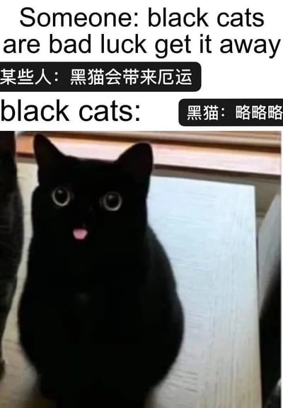 这是一张图文结合的趣味表情包，上方通过分栏文字构建了对话场景：一部分是持有迷信观点的人表示“黑猫会带来厄运，把它赶走”，另一部分是黑猫的回应“略略略”；下方是一只通体乌黑的猫咪，它睁着圆溜溜的大眼睛，吐出一小截粉色舌头，神态调皮又无辜，用这种反差感调侃了“黑猫带来厄运”的传统迷信说法，将猫咪的可爱与对迷信的不屑结合，显得十分诙谐有趣。