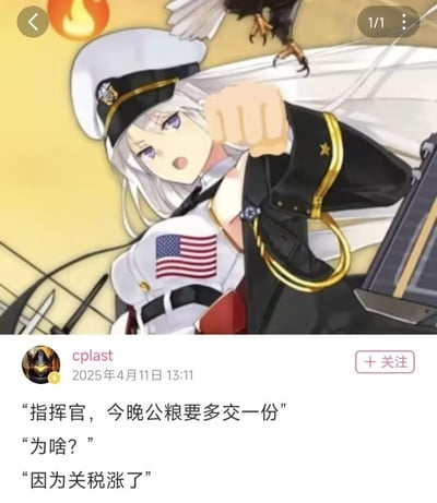 这是一张二次元梗图，图中是手游《碧蓝航线》里代表美国海军的角色企业，她身着带有美国国旗元素的军装，做出握拳的动作。下方是社交平台用户cplast发布的段子：
> “指挥官，今晚公粮要多交一份”
> “为啥？”
> “因为关税涨了”

这里玩了双关梗，将“交公粮”（指代情侣间的亲密互动）类比成需要缴纳关税的项目，借关税上涨的话题调侃，制造出搞笑的反差效果。