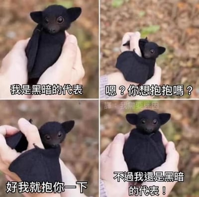 这是一组由四张图片组成的连环梗图，主角是一只被人类捧在手心的小黑蝙蝠。第一张图中，小黑蝙蝠摆出严肃的姿态，配文“我是黑暗的代表”，塑造出冷酷的形象；第二张图里，蝙蝠的姿态变软，配文“嗯？你想抱抱吗？”，流露出渴望亲近的软萌；第三张图中，蝙蝠被人类的手抱住，配文“好我就抱你一下”，展现出妥协的可爱模样；第四张图里，蝙蝠回到最初的严肃姿态，嘴硬道“不过我还是黑暗的代表！”。整组图通过蝙蝠“嘴硬心软、渴望亲近又不愿放下傲娇”的反差行为，制造出搞笑又治愈的效果，没有双关、谐音梗等内容。