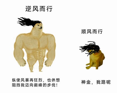这是一张左右分栏的对比式网络梗图，以“逆风而行”和“顺风而行”为核心设定制造反差幽默。左侧是经过P图改编的形象：将Doge柴犬的头部与强壮的人类肌肉身体拼接，头发被狂风吹得向后扬起，配文“纵使风暴再狂烈，也休想阻挡我迈向巅峰的步伐！”，塑造出在困境中斗志昂扬、勇往直前的强者姿态；右侧是正常的柴犬坐姿形象，头发完全盖住头部，配文“神金，我路呢”（“神金”是“神经”的谐音，属于网络谐音梗），表现出在顺境中反而迷失方向、不知所措的迷茫状态。整张图通过强烈的视觉和文案反差，调侃了现实中不同处境下的心态反差，尤其常被用来比喻职场或人生选择中的不同状态。