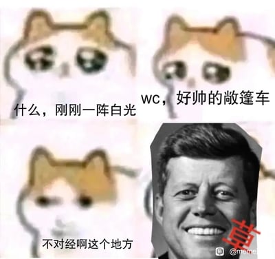 这是一张基于国外流行的悲伤猫（Sad Cat）meme模板改编的搞笑P图，采用三格漫画式的排版，通过悲伤猫的表情变化和配文，结合美国前总统约翰·F·肯尼迪的面部图像，玩肯尼迪遇刺的历史梗。第一格配文“什么，刚刚一阵白光”对应肯尼迪遇刺时的枪击瞬间；第二格“wc，好帅的敞篷车”对应遇刺事件中肯尼迪乘坐的敞篷轿车；第三格“不对经啊这个地方”呼应遇刺事件的离奇之处，右下角肯尼迪的微笑图像和红色“草”字，进一步强化了这个梗的荒诞戏谑感，用轻松搞笑的方式解构严肃的历史事件。