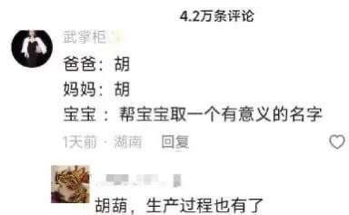 这是一张社交媒体评论区的竖屏截图，用户「武掌柜」来自湖南，发帖求助称父母都姓胡，想要为宝宝取一个有意义的名字。下方有网友给出神回复：「胡葫，生产过程也有了」，并附带一张葫芦状食物的图片，通过谐音梗制造趣味。
谐音梗说明：「胡葫」谐音「护娩」，既贴合父母都姓胡的姓氏特点，又暗指生产分娩的过程，一语双关，笑点十足。